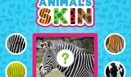 Animals Skin