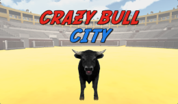 Crazy Bull City