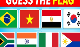 Guess the Flag