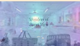 Wonders of Street View