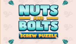 Nuts and Bolts: Screw Puzzle